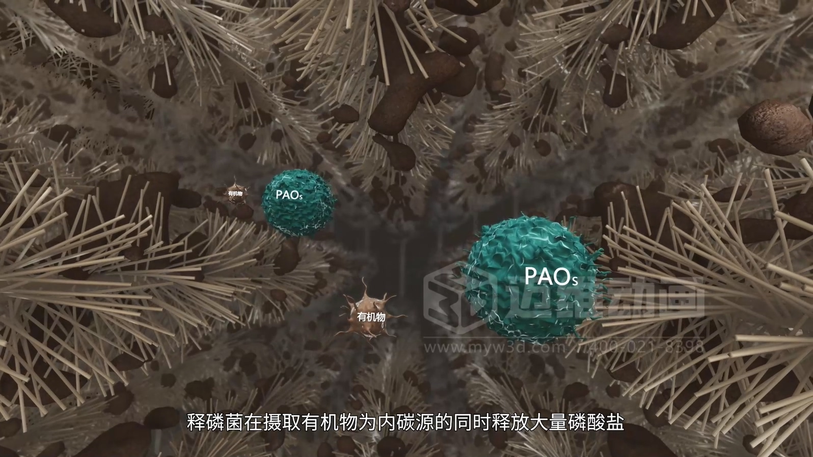 驚爆！三維動畫全方位展示鄉(xiāng)鎮(zhèn)污水一體化處理工藝，環(huán)保企業(yè)機遇來襲(圖4)