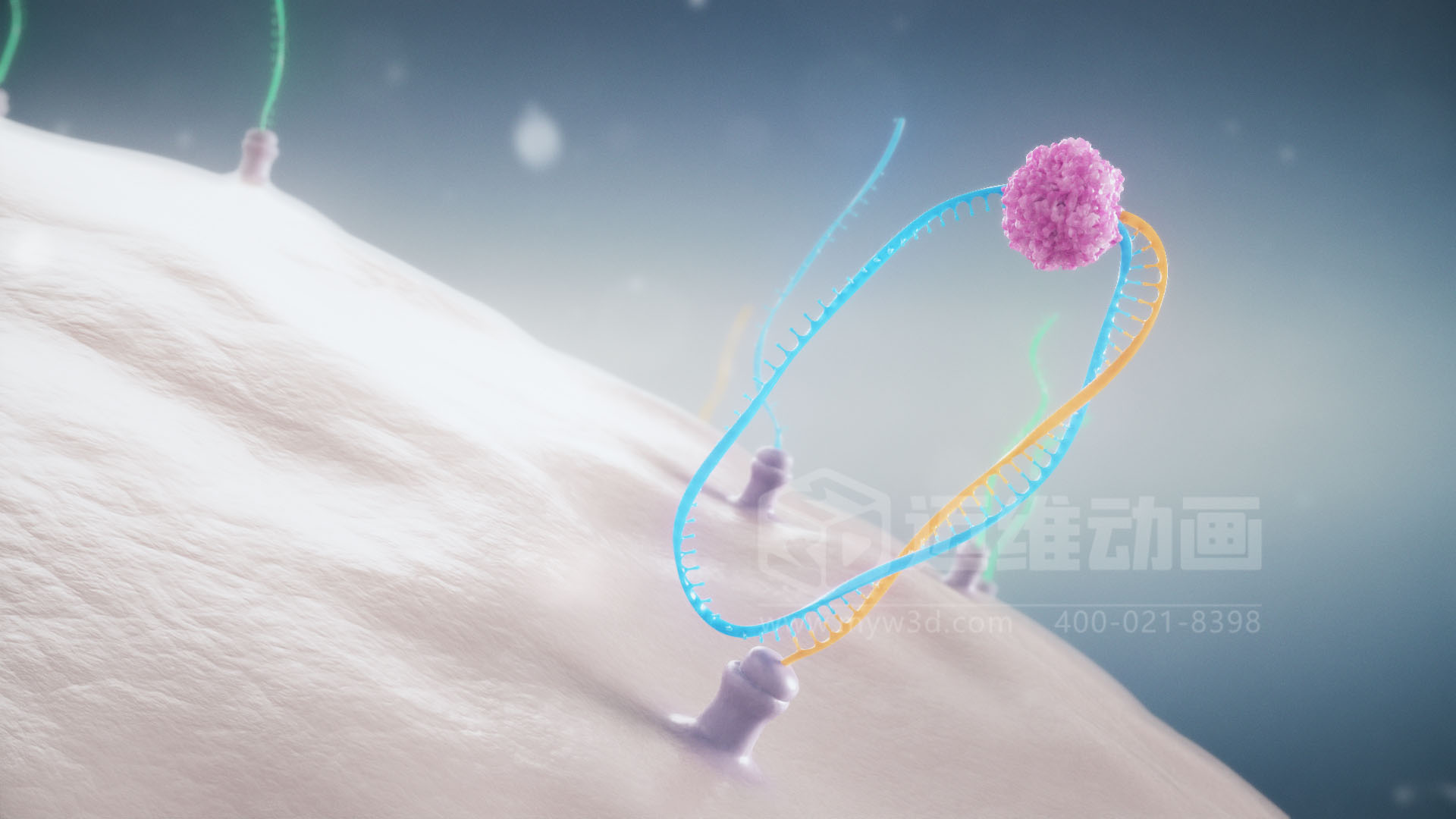 醫療分子生物學三維動畫(圖3)