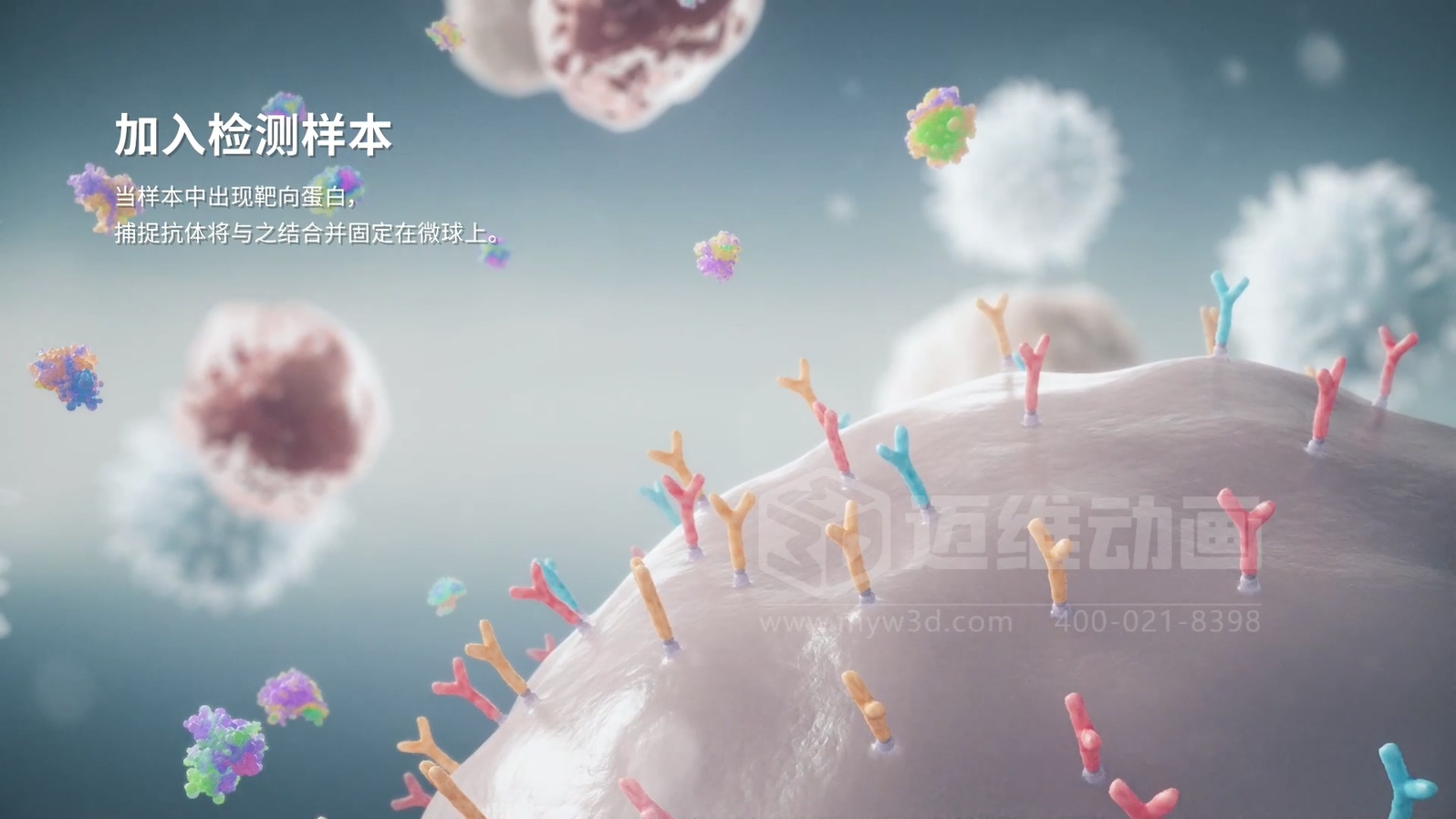 微觀世界竟能“動”起來？生物科技三維動畫帶你沉浸式探索生命奧秘(圖2)